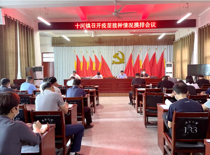 十河镇疫苗接种情况摸排会议