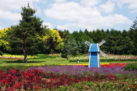 锦林百花园