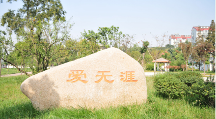 爱无涯