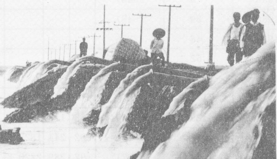 1978年天长县抽高邮湖水灌溉