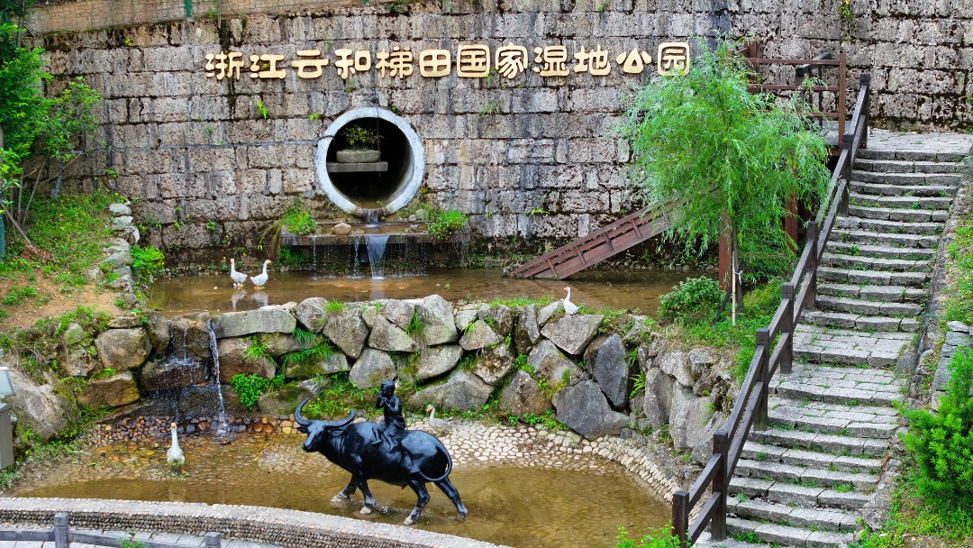 流水播春