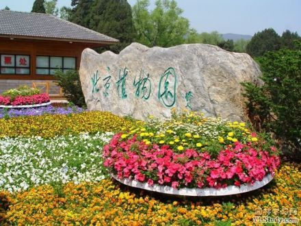 北京植物园景色