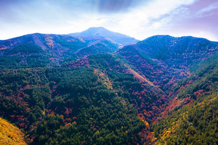 紫金山 
