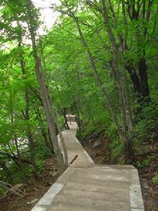 木札岭原始生态旅游区
