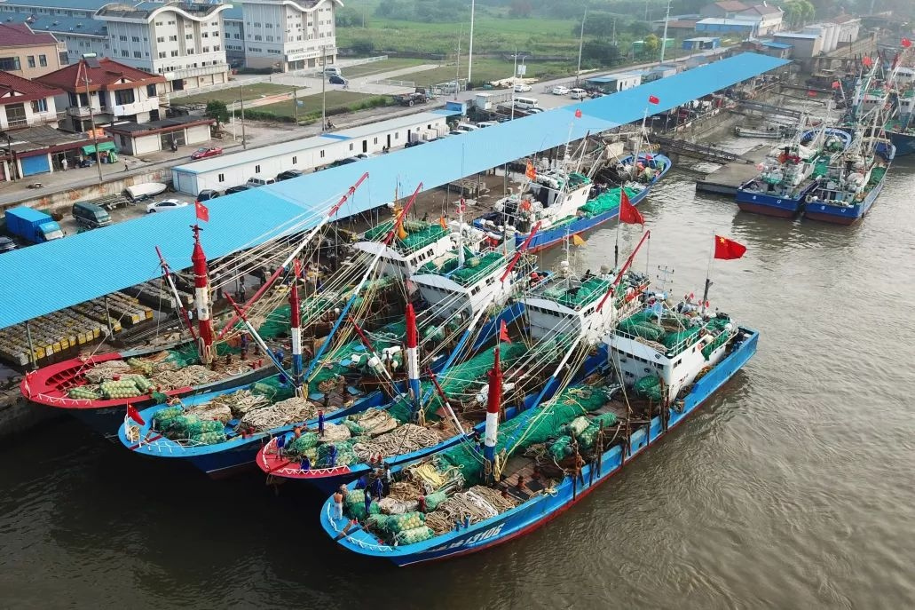 浏河渔港