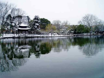 莲花庄