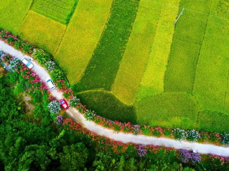 乡间小路