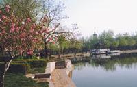 西海子公园