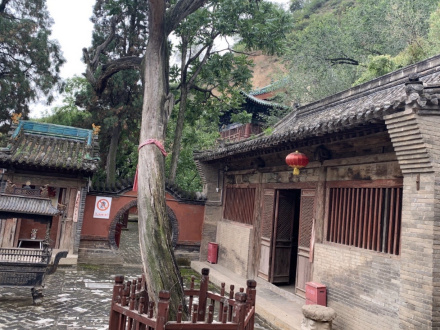 净因寺景观