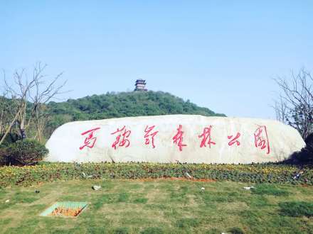 马鞍岭森林公园