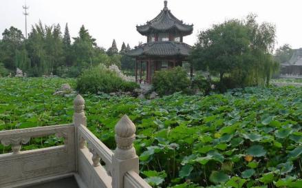 古莲花池