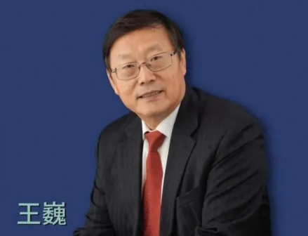 中国考古学会理事长—王巍 
