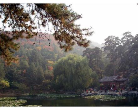 香山听松吟