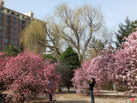 宁夏师范大学老校区校园掠影