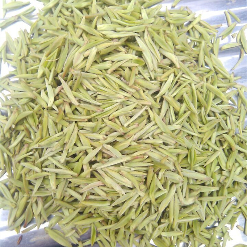 文县绿茶