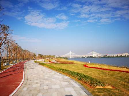 东莞滨海湾新区