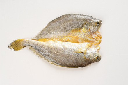 黄鱼鲞 