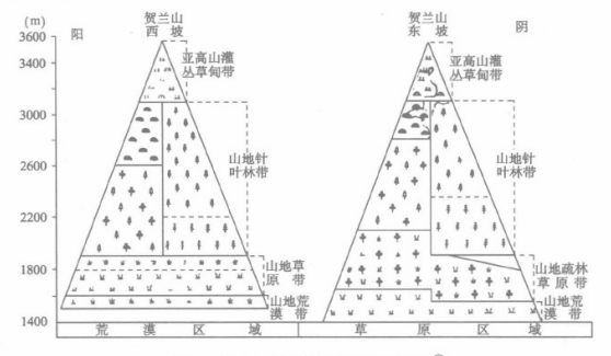 贺兰山山地植被垂直带