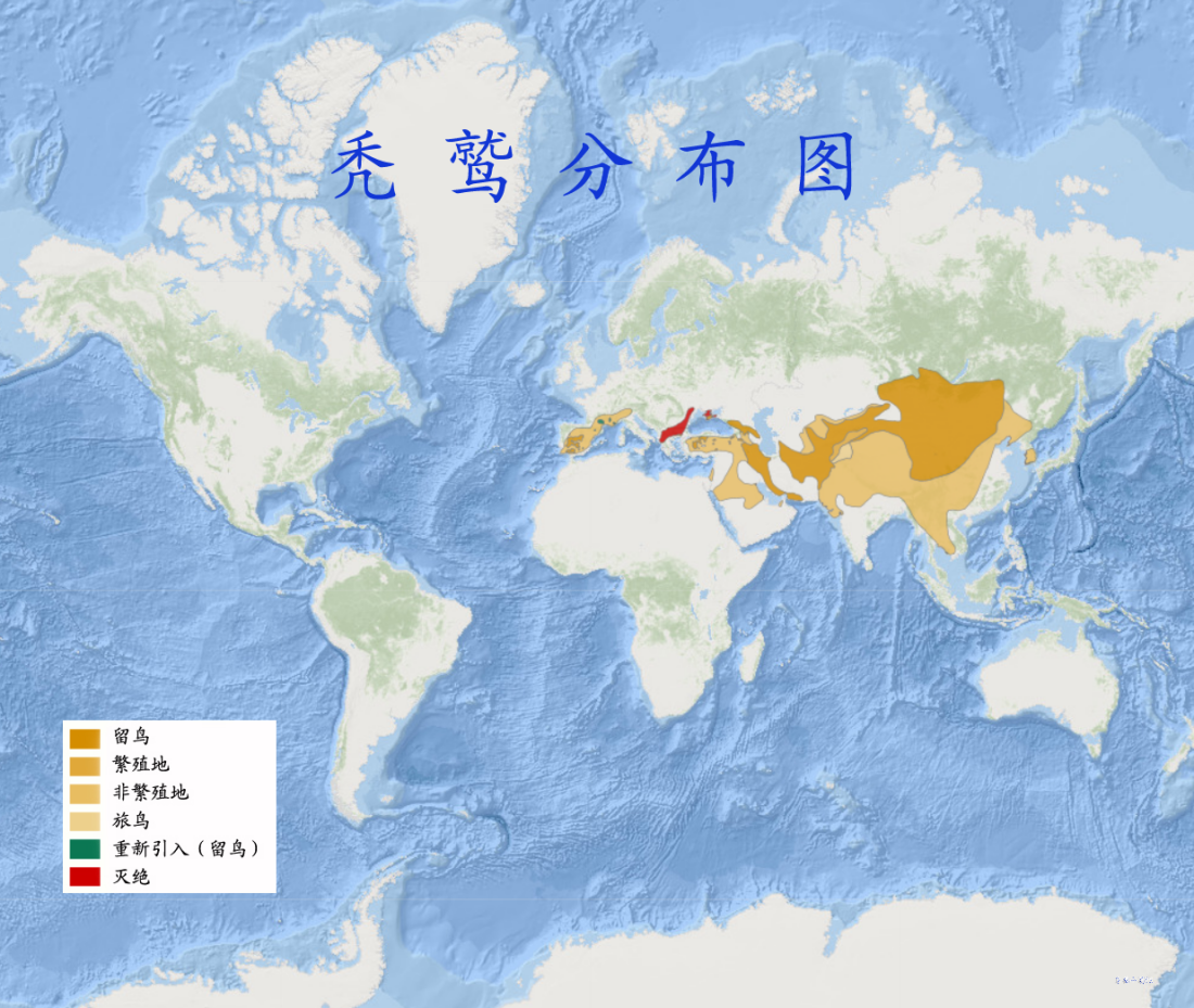 .秃鹫分布图