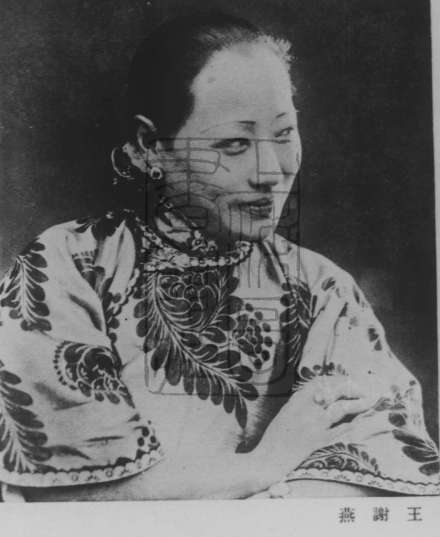 王谢燕