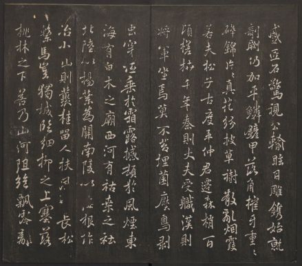 褚遂良描摹庾信《枯树赋》（行书）
