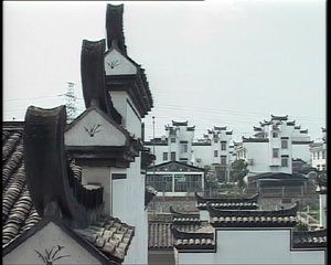 兰花村