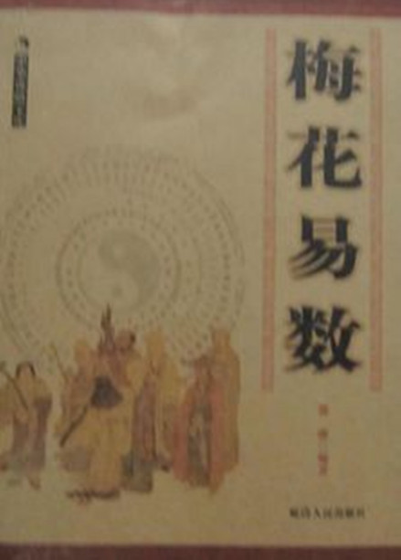 梅花易数书籍图片