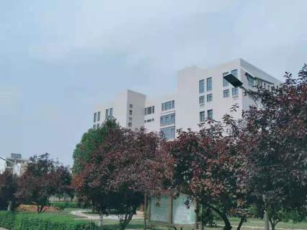学校环境
