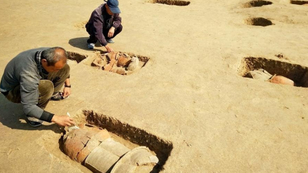 清理瓮棺墓葬（拍摄于2016年10月）