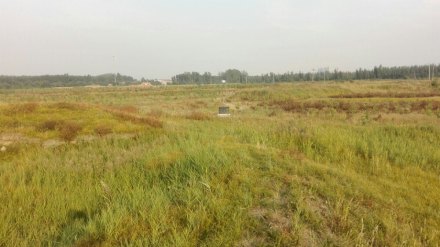 哑叭庄遗址远景