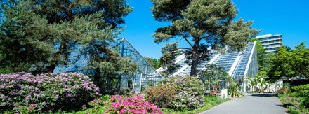 波鸿 Botanischer Garten