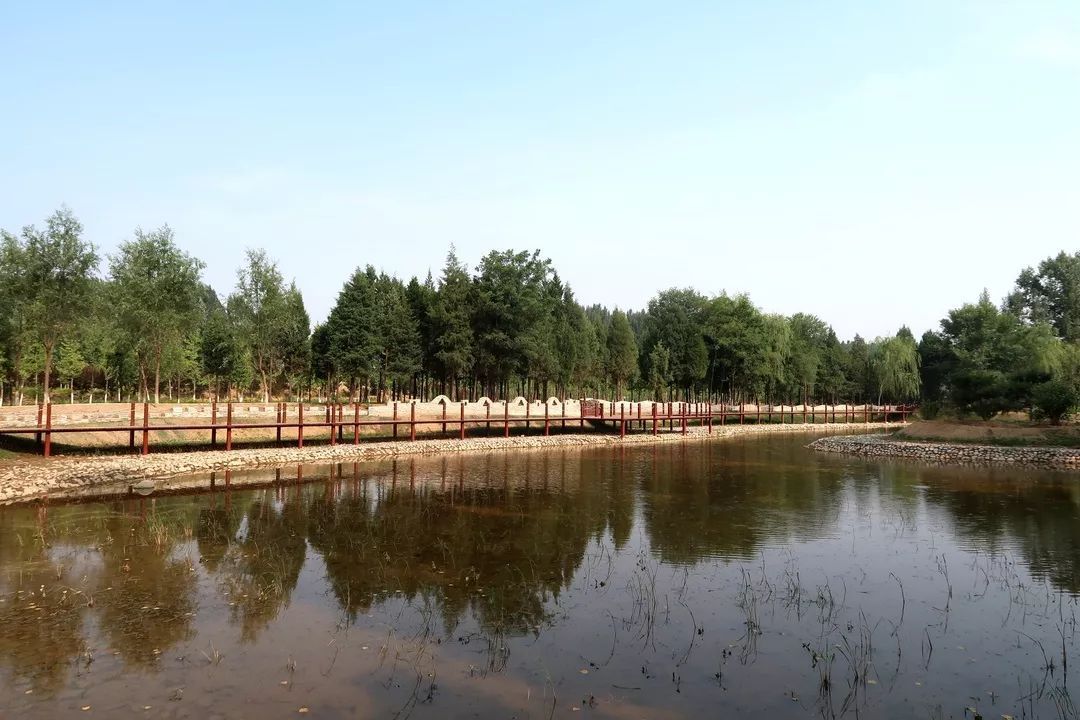 王佐镇水系