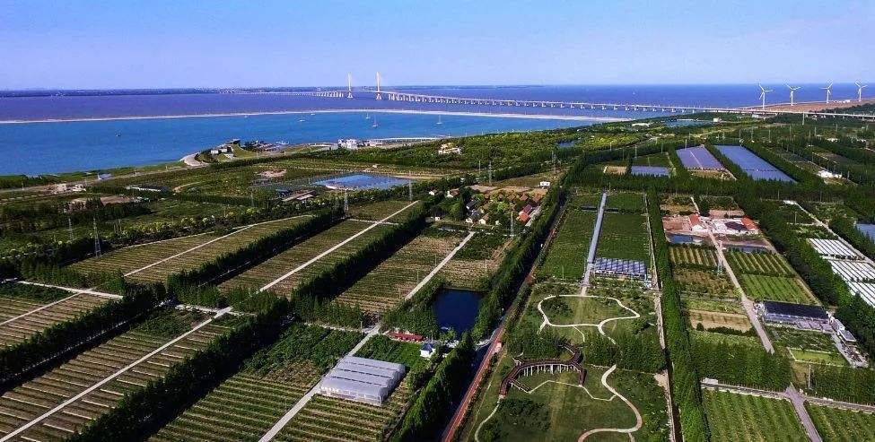 崇明岛东南端地貌