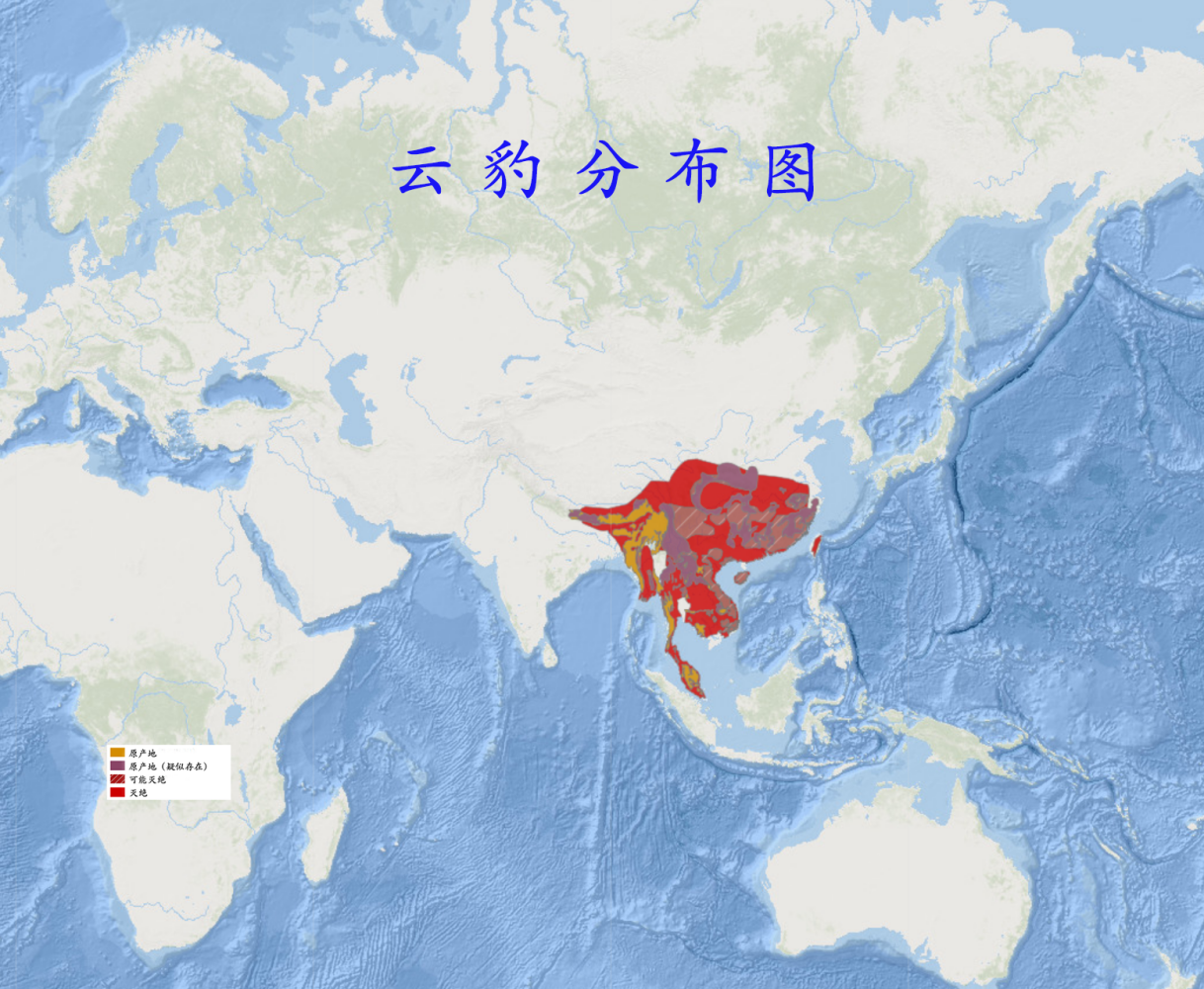 云豹分布图 