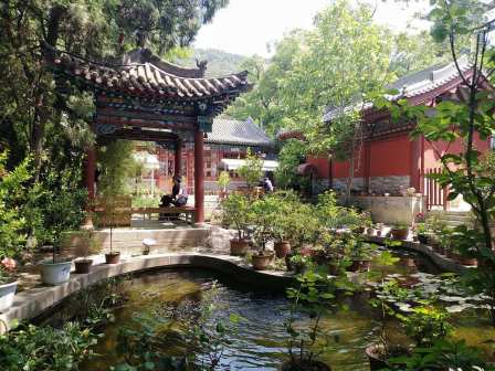 太山龙泉寺风景
