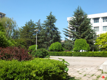 宁夏师范大学老校区校园掠影