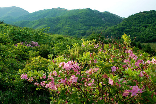 黄丫口旅游风景区