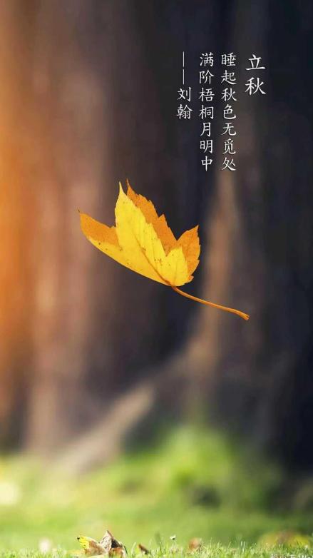 立秋