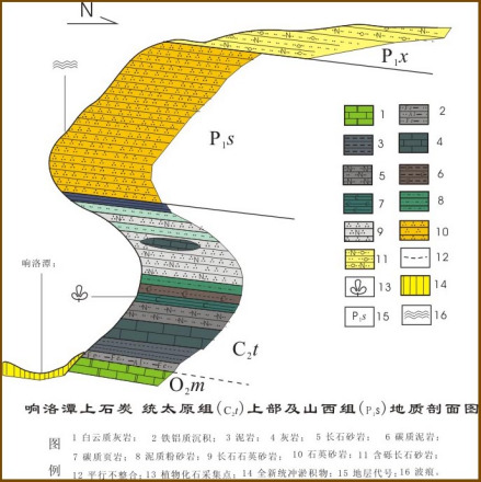 太原组特征分析