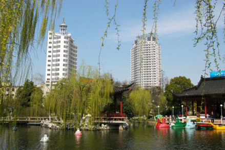 桐乡