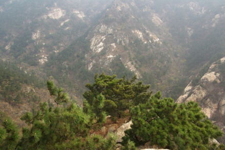 费县塔山森林公园