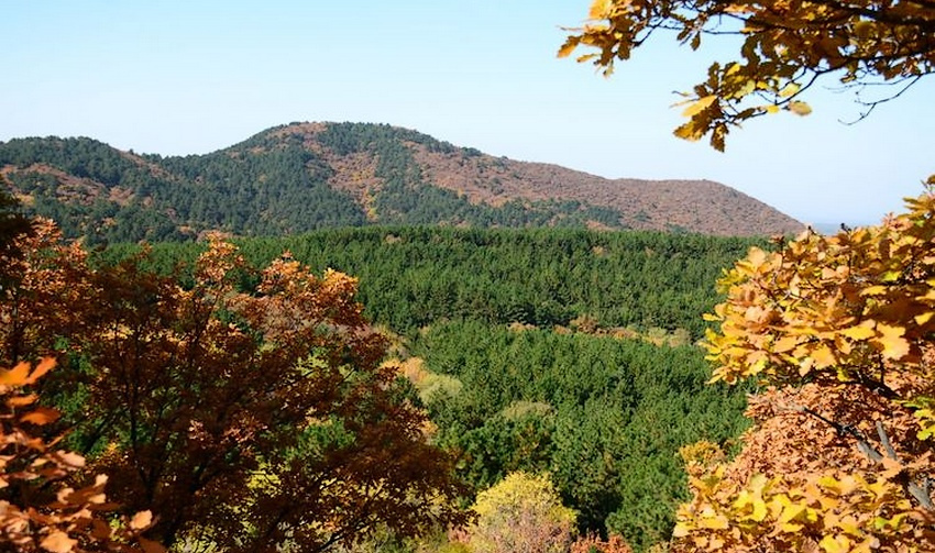 五麓山（五鹿山）