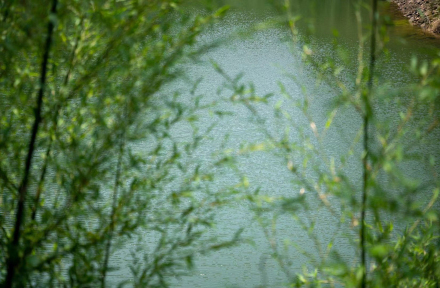 泸县道林沟