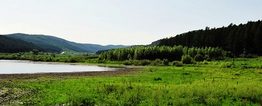 勃利县境内通天一林场