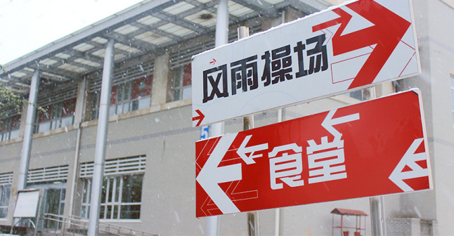 林间小道