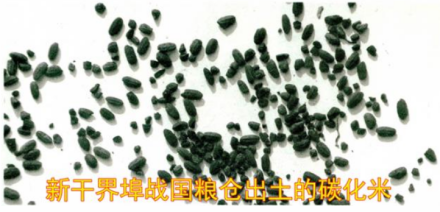 炭化米