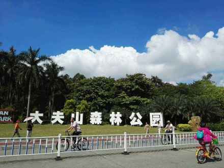 大夫山森林公园