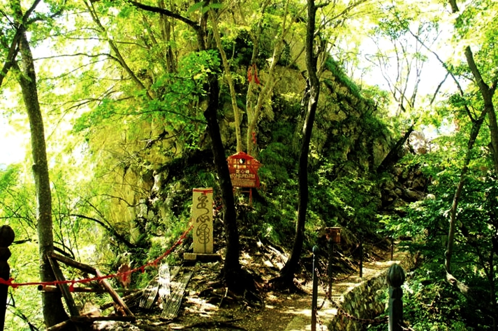 定心峰
