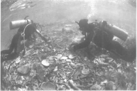 华光礁遗址发掘现场