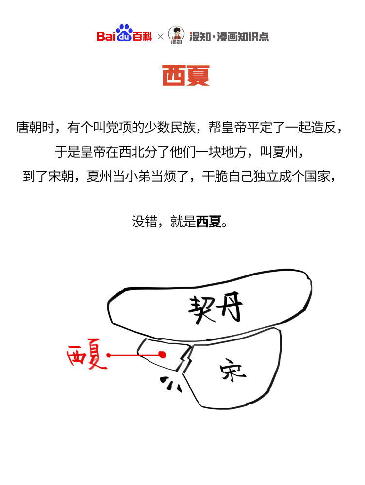百科x混知：图解西夏